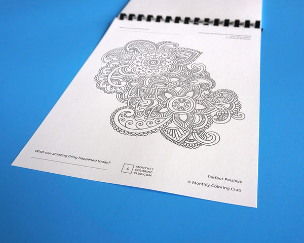 Paisley Coloring Book - Relax Pack (Card Stock)